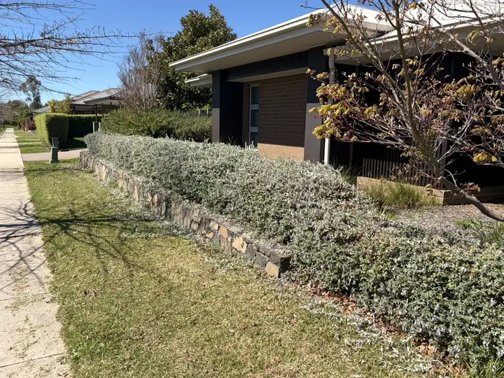 After: lawn mown and hedge trimmed beside a path