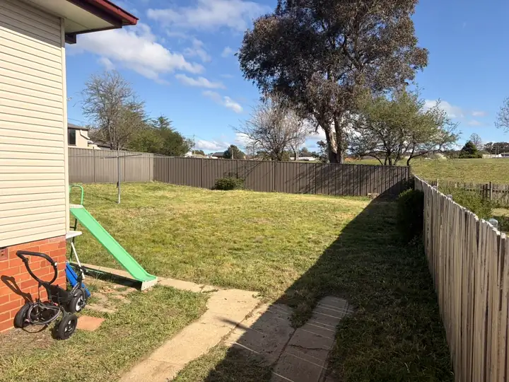 A freshly mown backyard lawn after an Apex visit