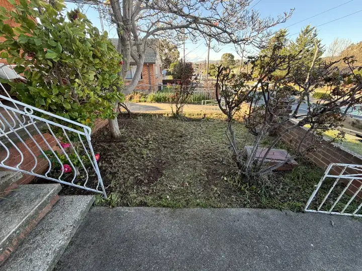 After: front garden by the steps cleared and tidy
