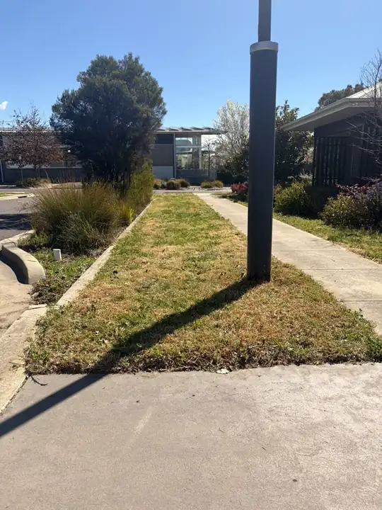 After: commercial verge and garden beds trimmed and tidy