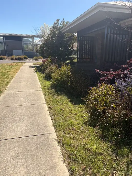 After: commercial pathway garden trimmed and tidy