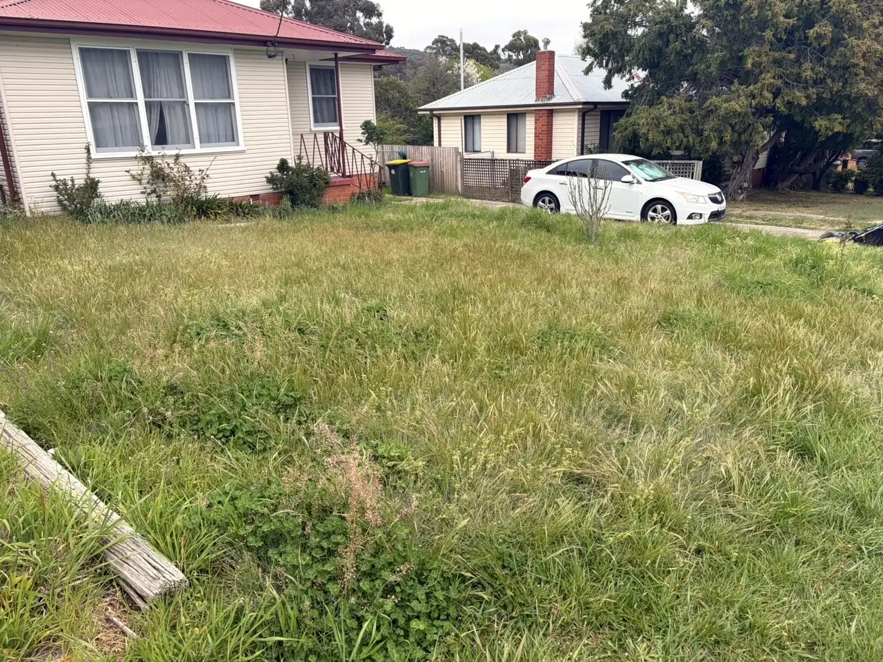 Before: front lawn long and overgrown
