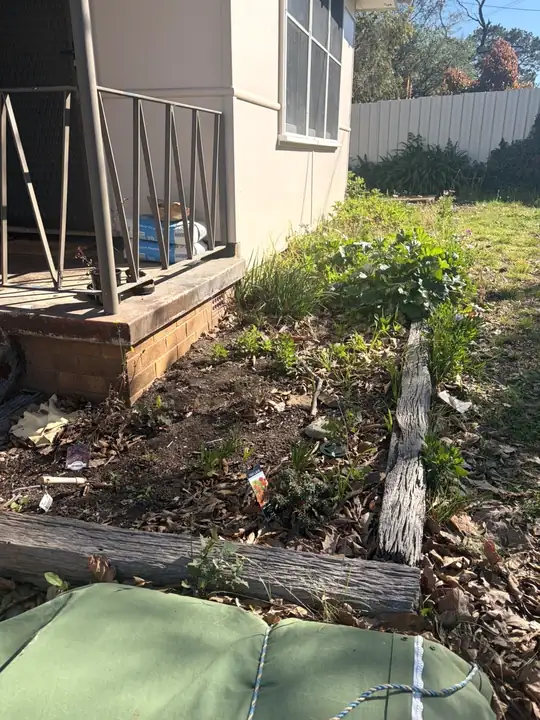 Before: garden bed overgrown with weeds and clutter