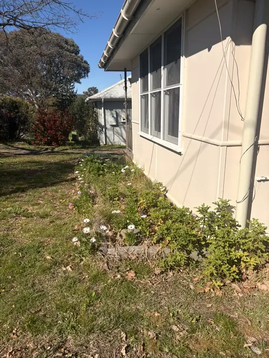 Before: garden bed beside the house overgrown