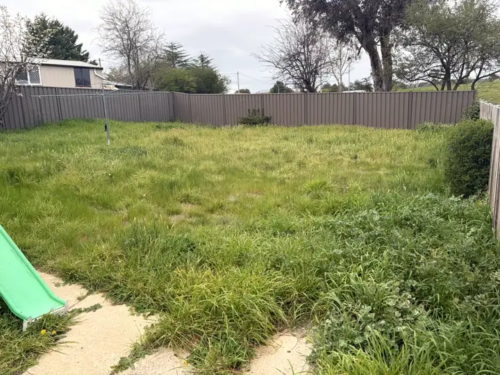 Before: backyard lawn long and overgrown