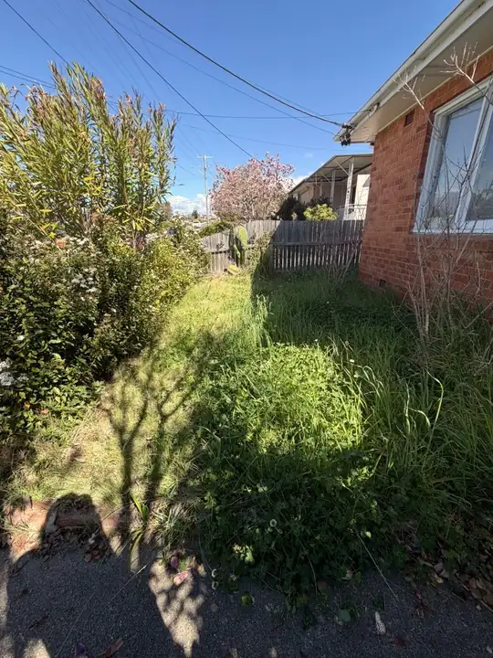 Before: side garden overgrown beside a brick house