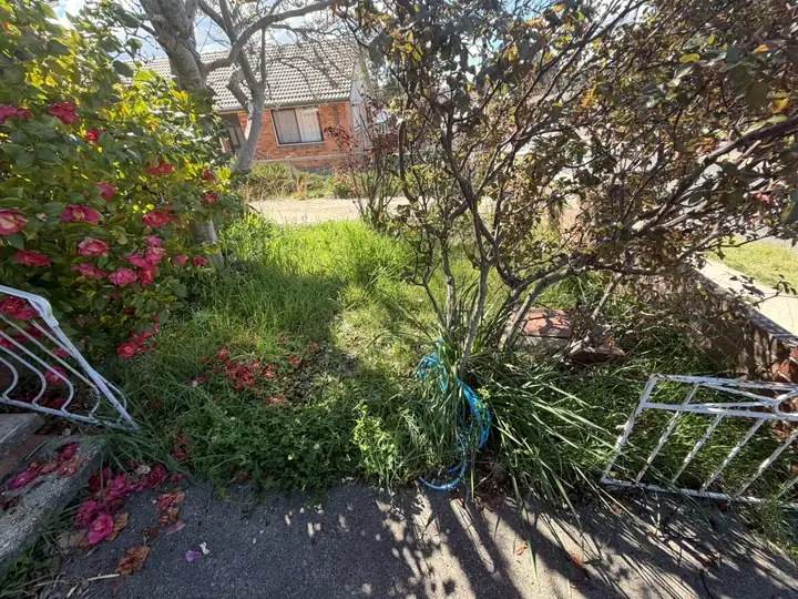 Before: front garden by the steps overgrown